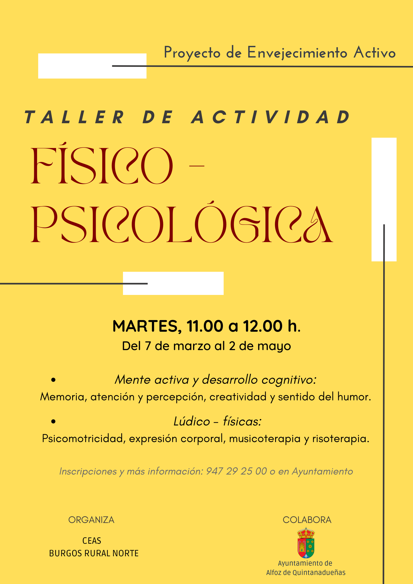 TALLER DE ACTIVIDAD FÍSICO - PSICOLÓGICA